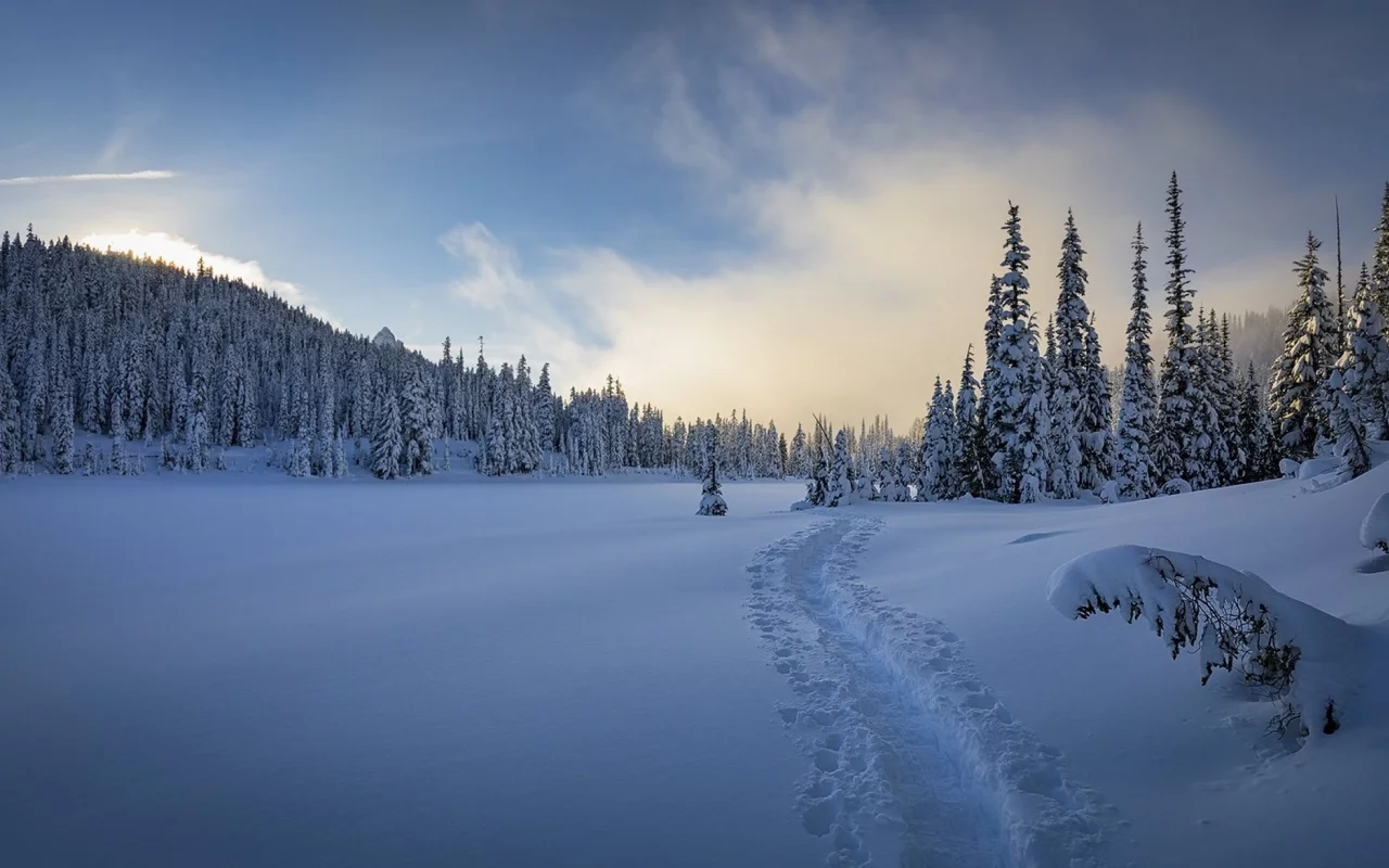пейзаж, природа, красота