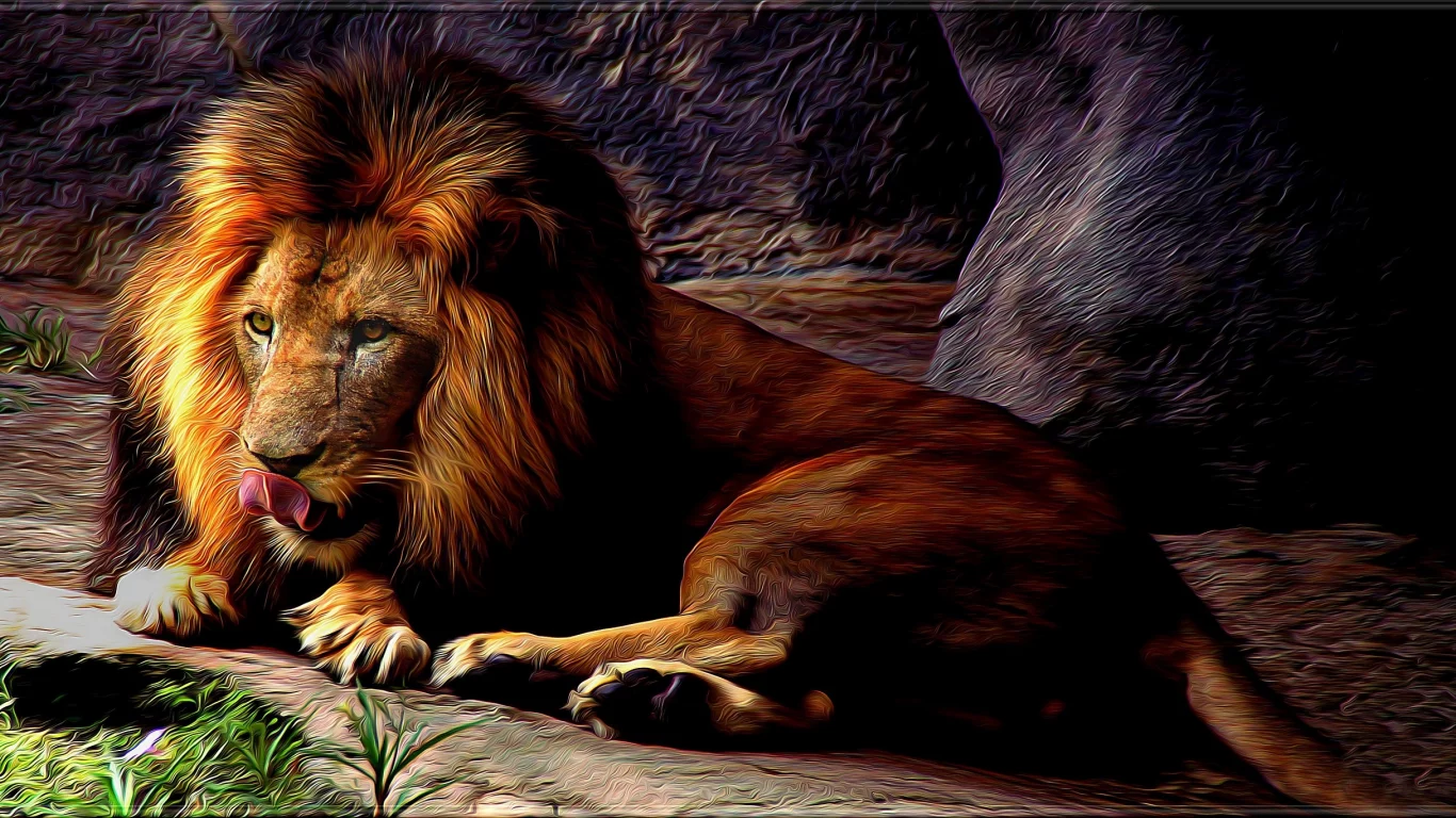 лев, грива, дикий кот