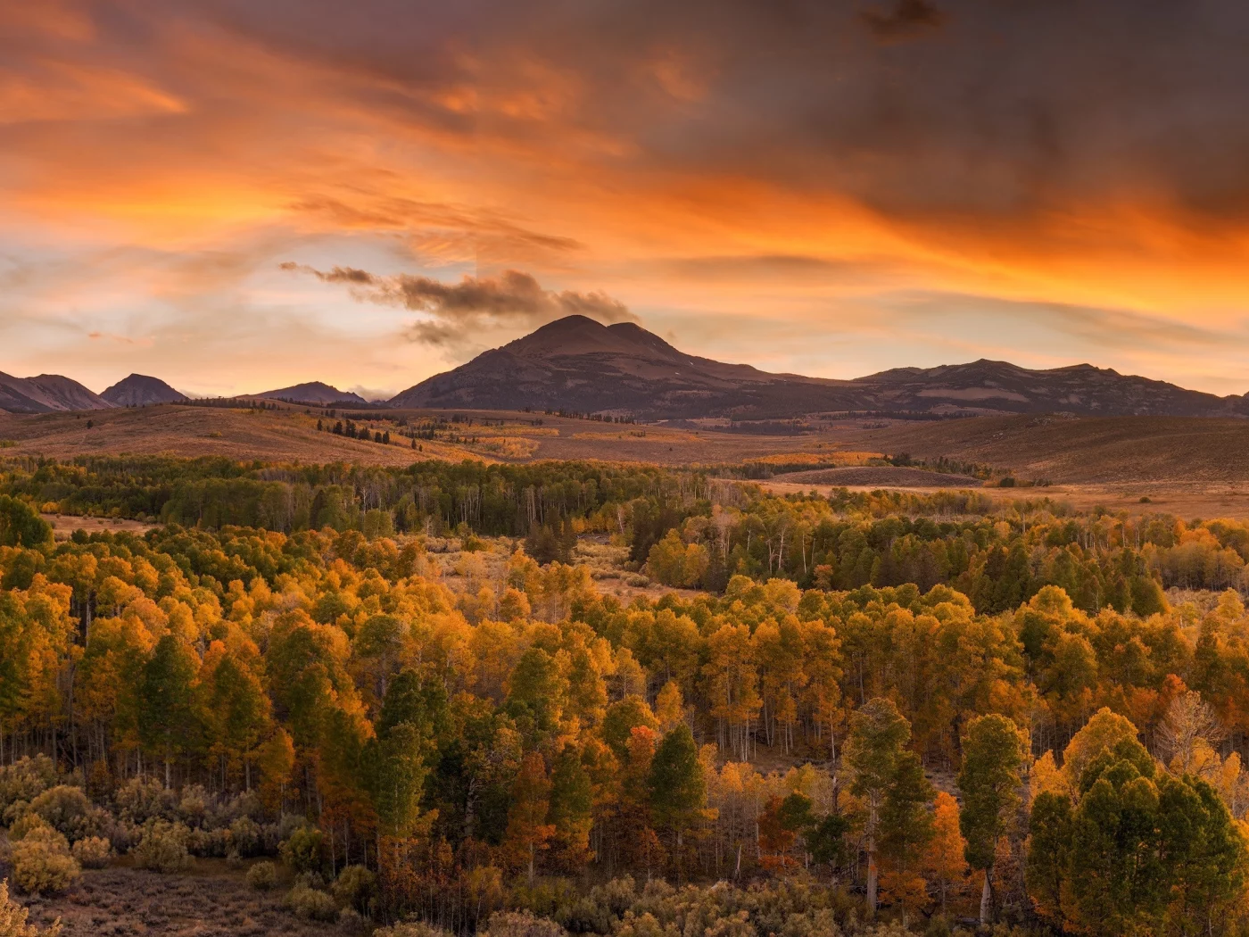 пейзаж, природа, красота