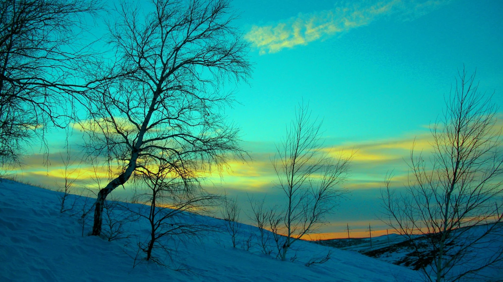 зима, природа