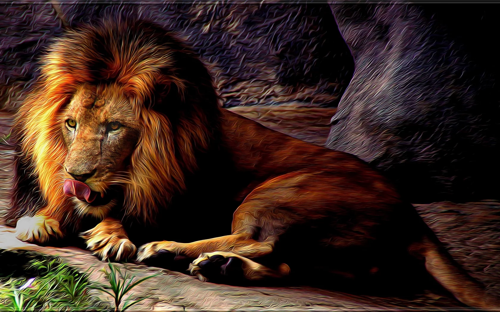 лев, грива, дикий кот