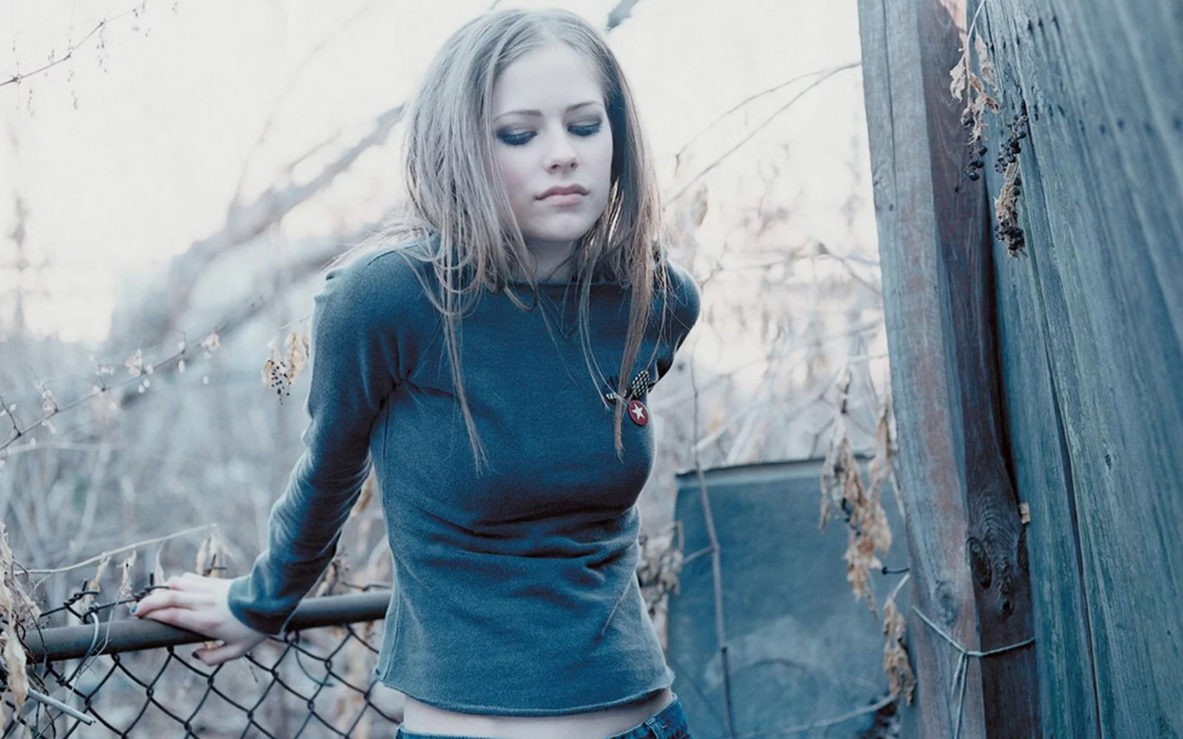 модель, avril lavigne