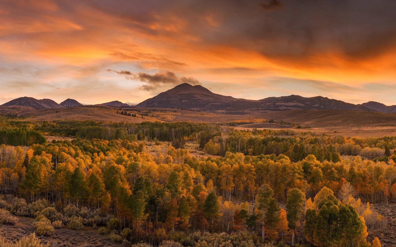 пейзаж, природа, красота