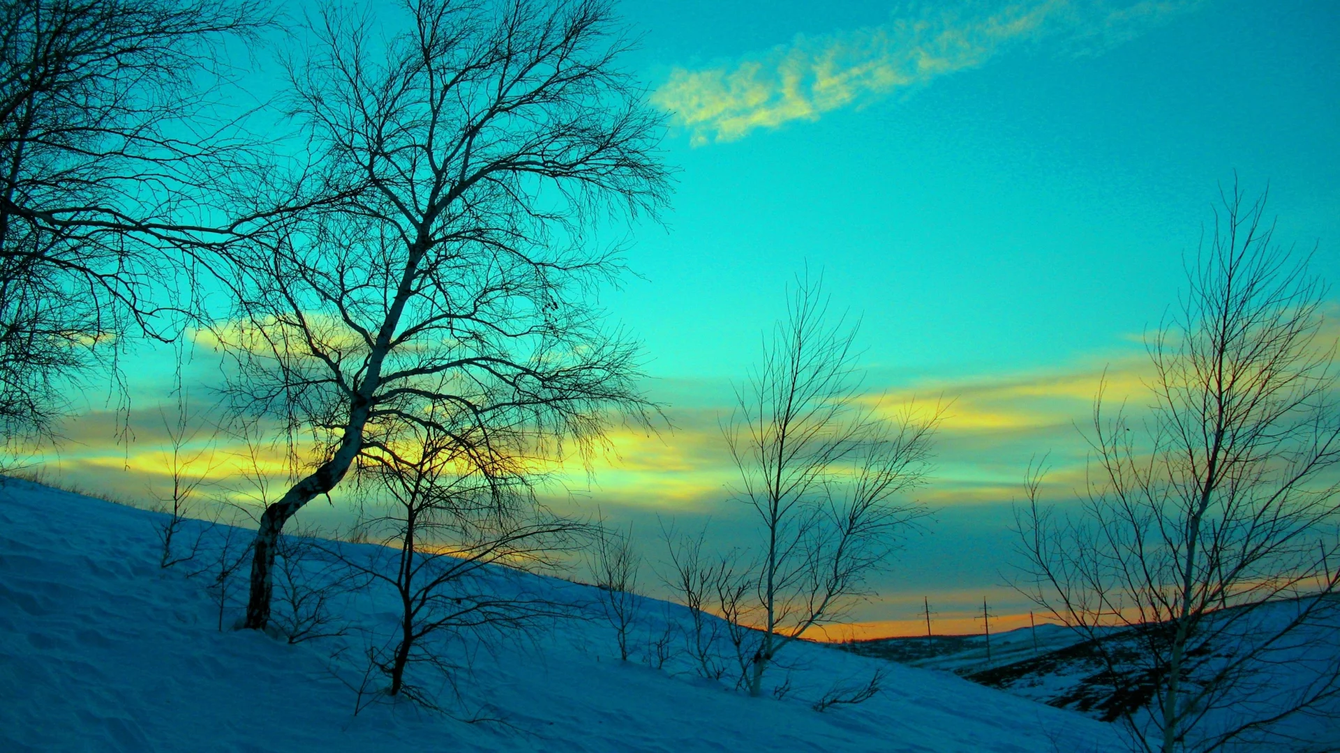 зима, природа