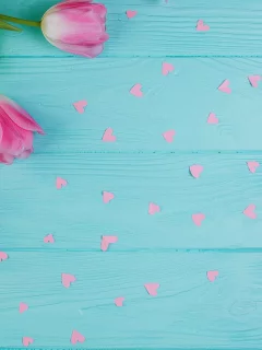 тюльпаны, розовые тюльпаны, весна
