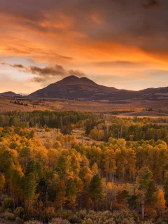 пейзаж, природа, красота