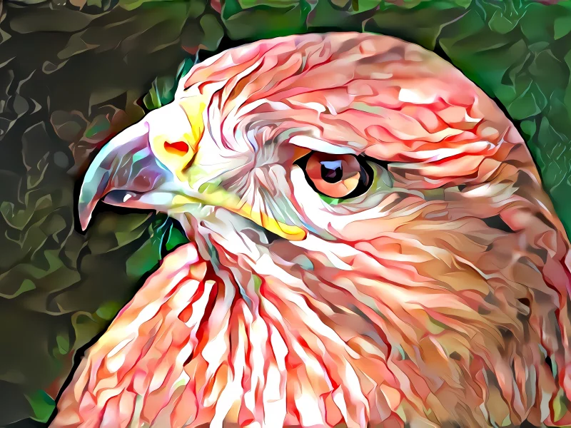 птица, фон
