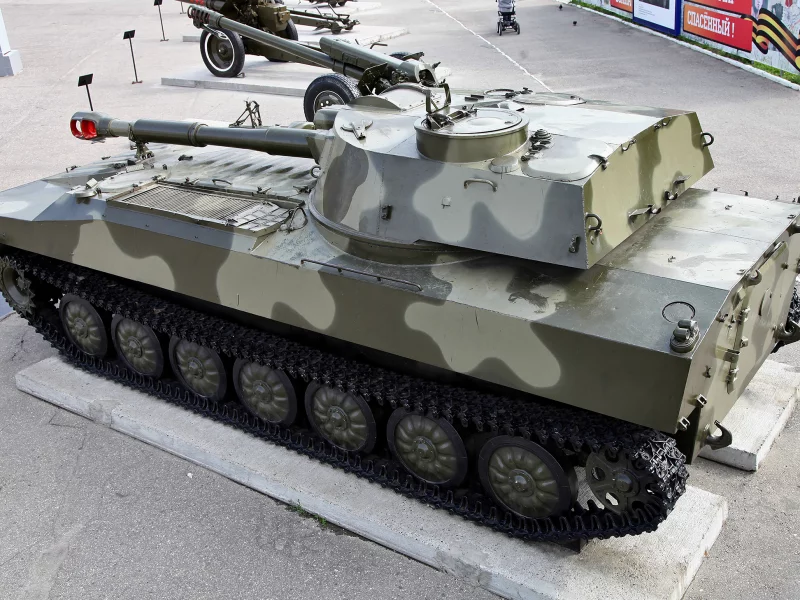 сау, гвоздика