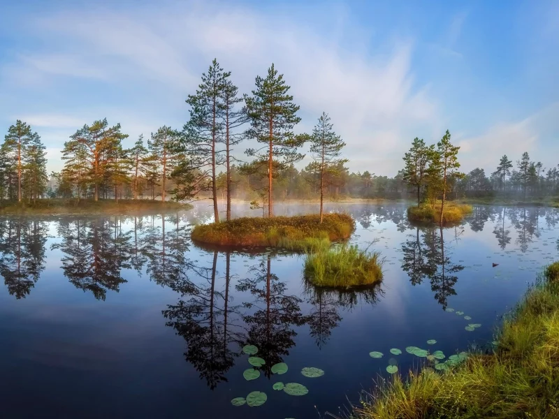 пейзаж, природа, красота
