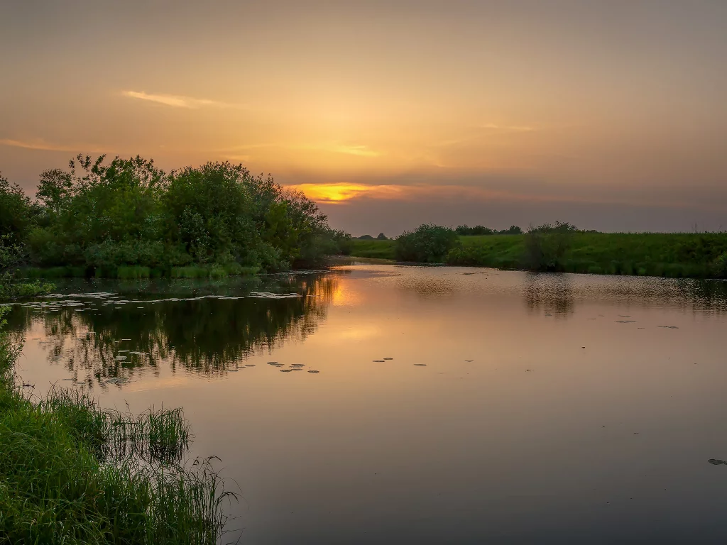 закат, пейзаж, лето, природа, река