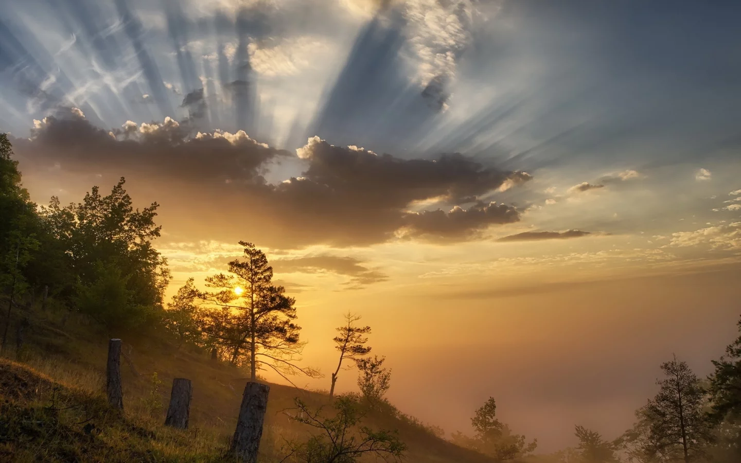 природа, утро, рассвет