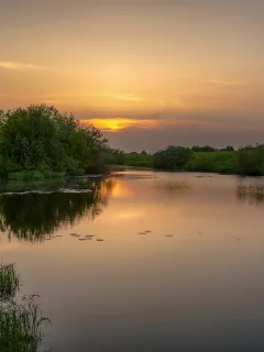 закат, пейзаж, лето, природа, река
