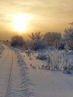 зима, снег, день, дорога