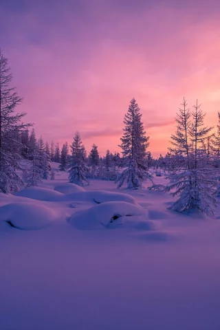 зима, снег