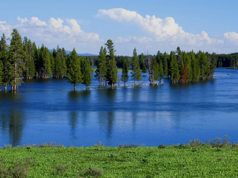 разлив, вода, весна