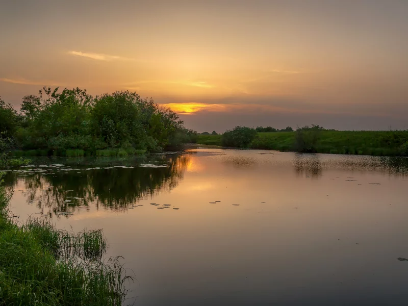 закат, пейзаж, лето, природа, река