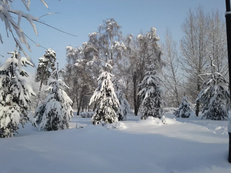 зима, парк