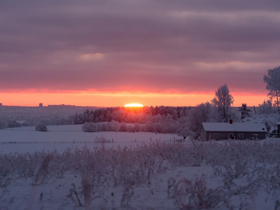 зимнее, солнце