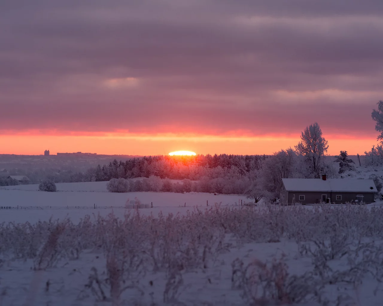 зимнее, солнце