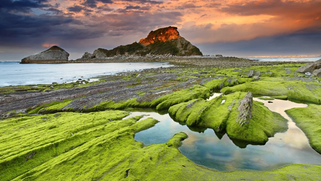 море, берег, гора