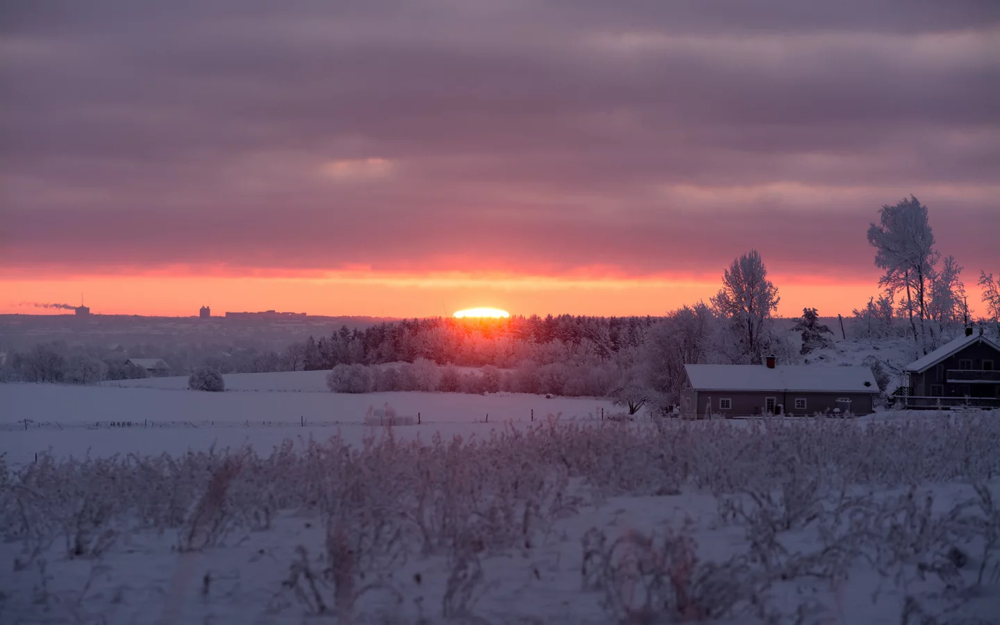 зимнее, солнце