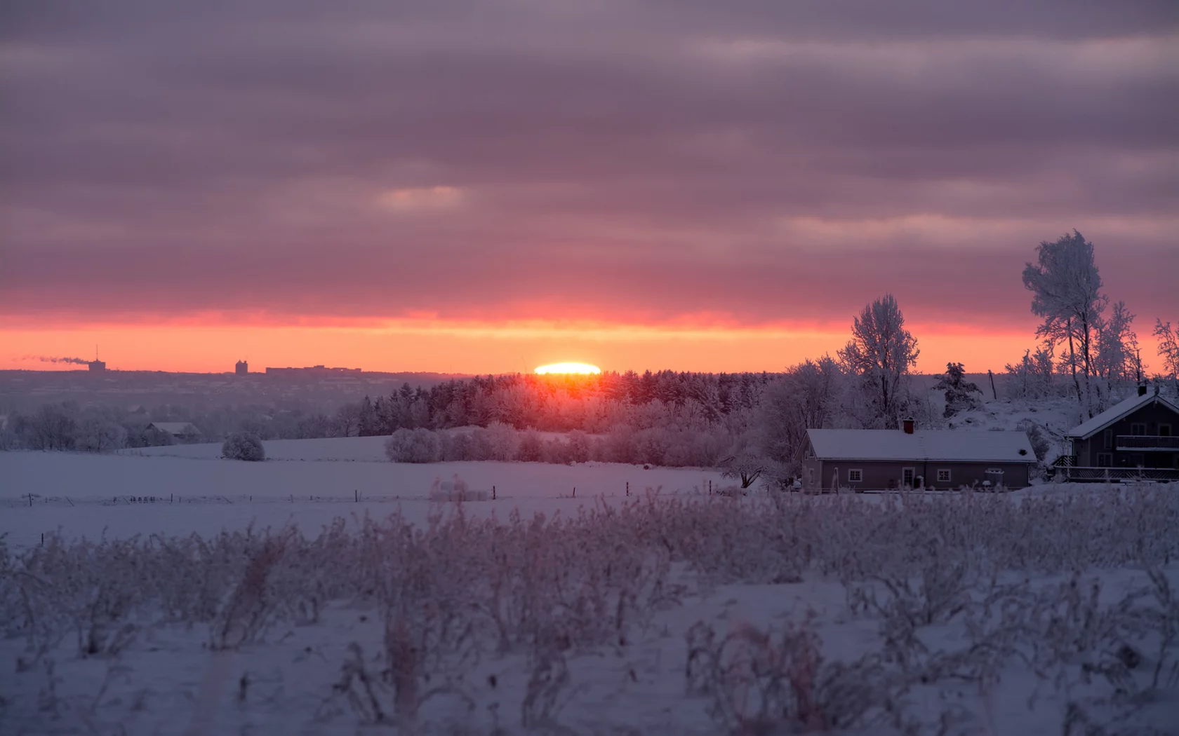 зимнее, солнце