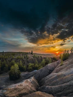горы, лес, деревья