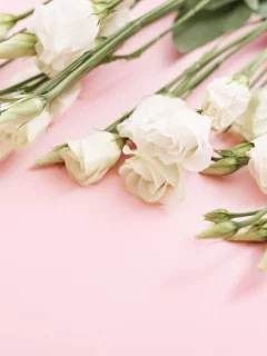 цветы, фон