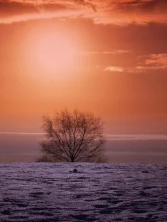 зима, снег, солнце
