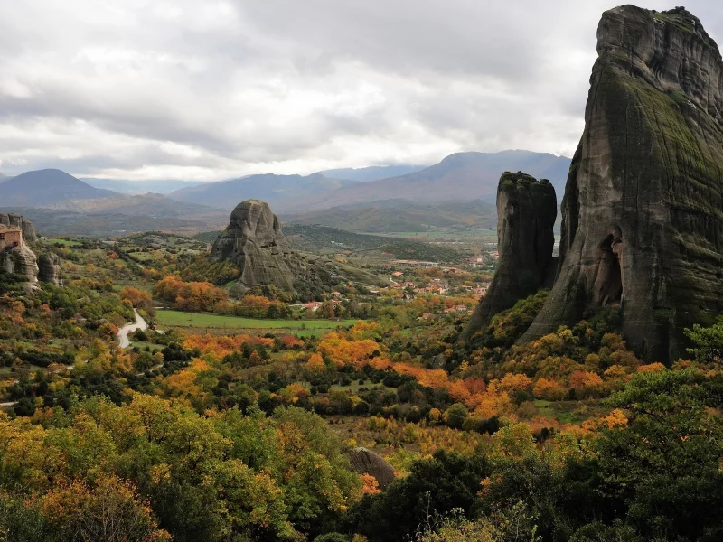 цветы, горы