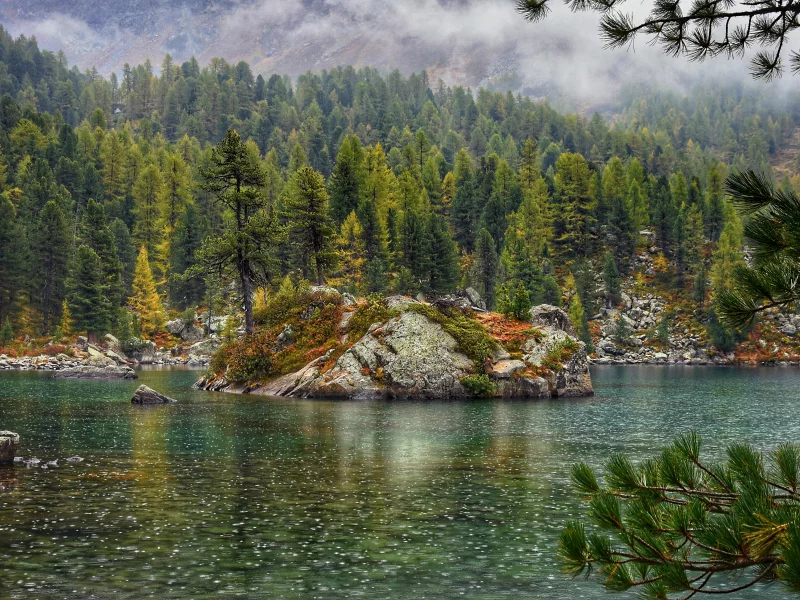 лес, озеро, островок
