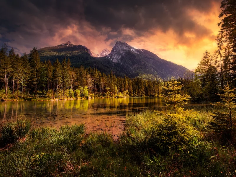 природа, горы, озеро, лес