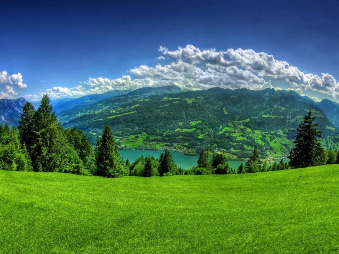 grass, clouds
