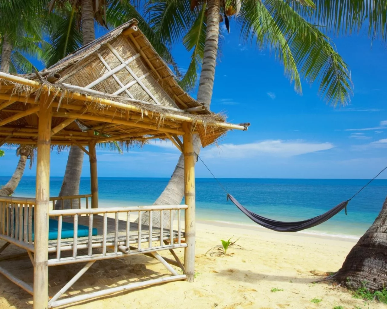 view, palm trees
