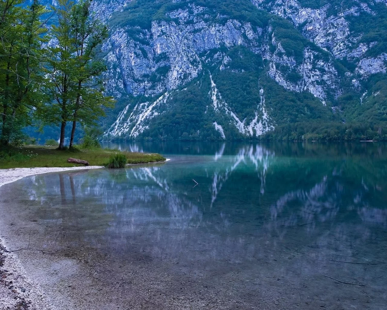 природа, деревья, вода 23