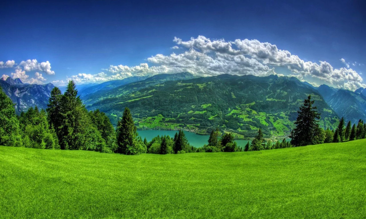 grass, clouds