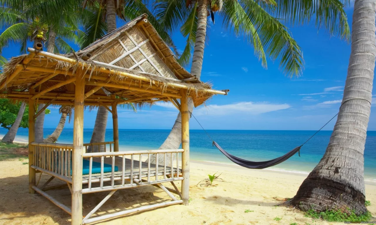 view, palm trees