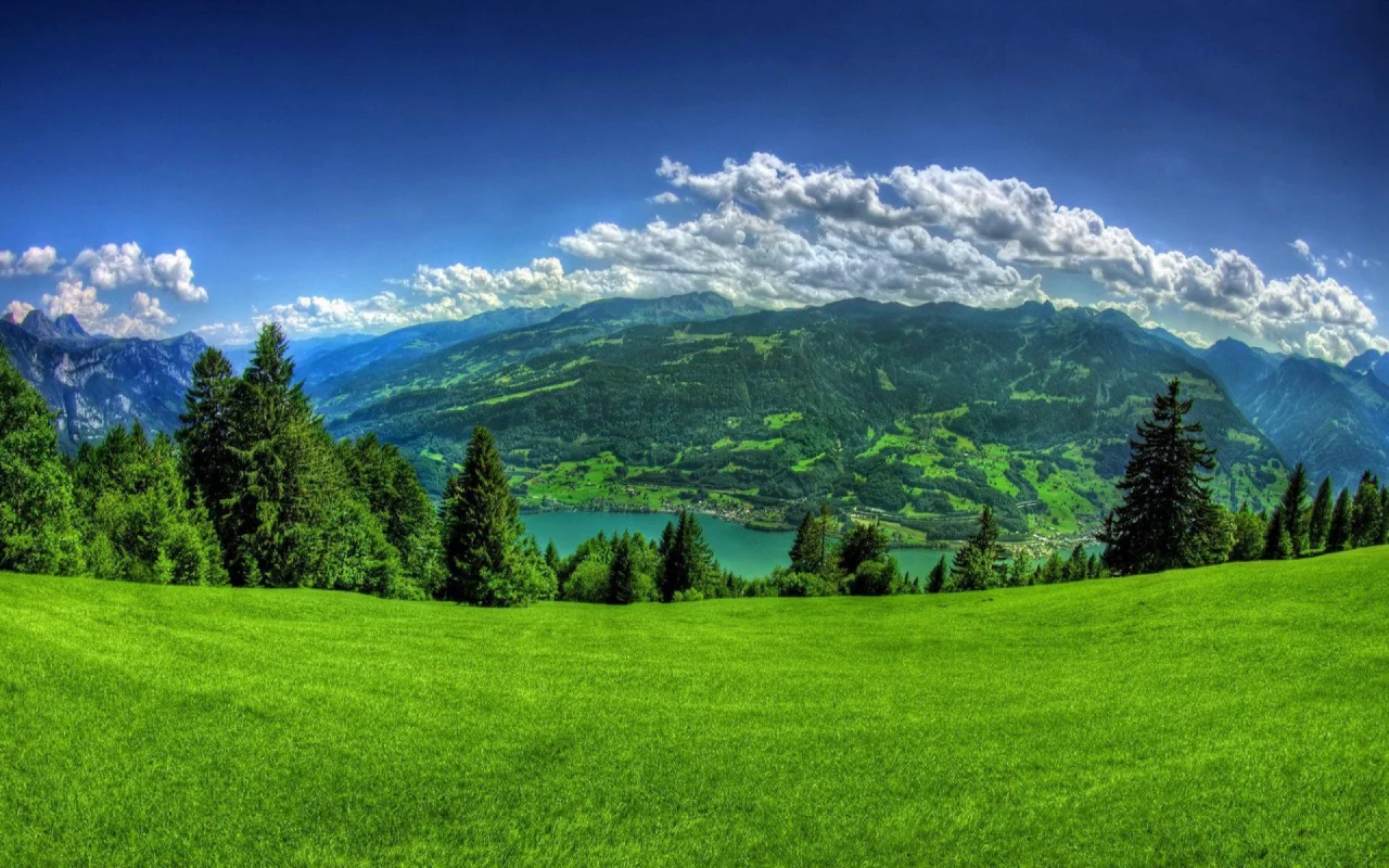grass, clouds