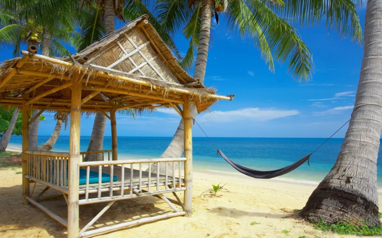 view, palm trees