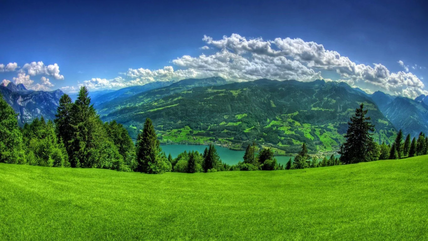 grass, clouds