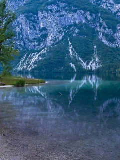 природа, деревья, вода 23