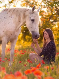 девушка, с лошадью, на природе