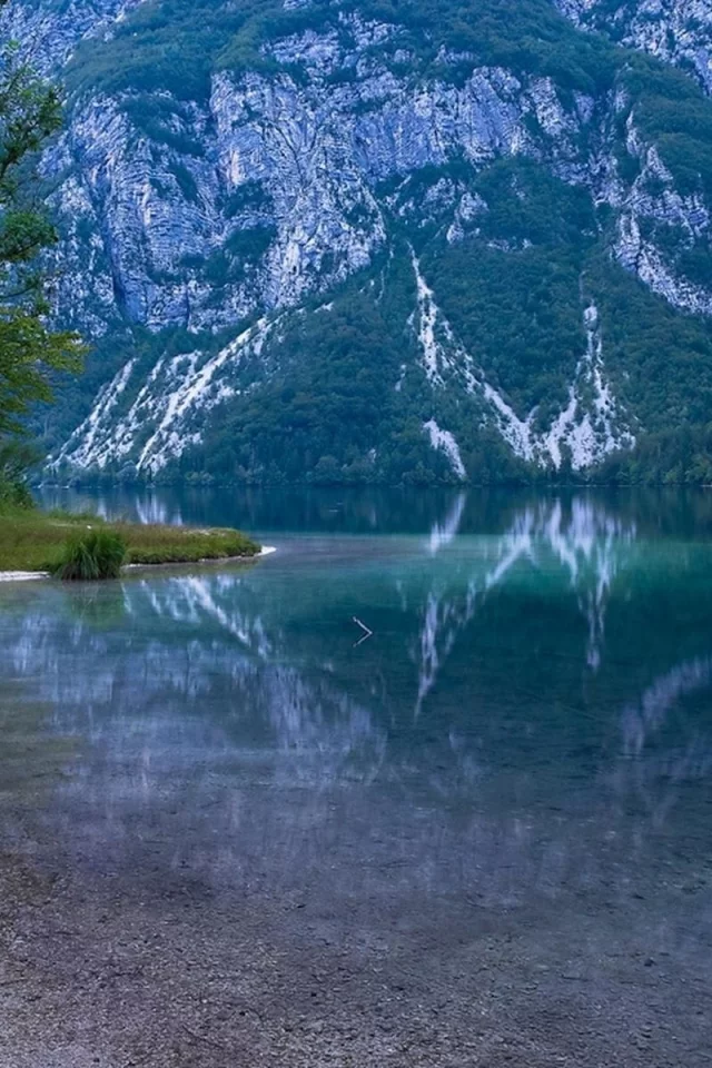 природа, деревья, вода 23