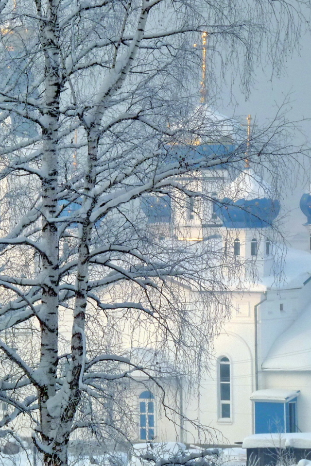 Деревня деревья Церковь зима