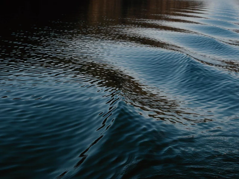 природа, деревья, вода 13
