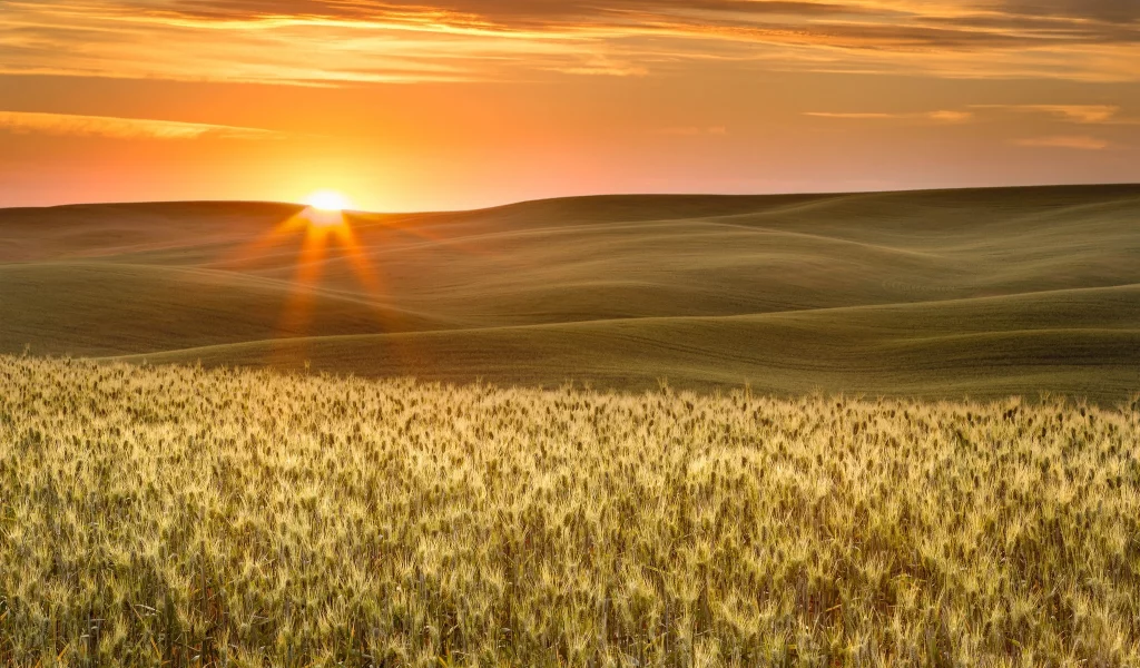 пейзаж, природа, красота