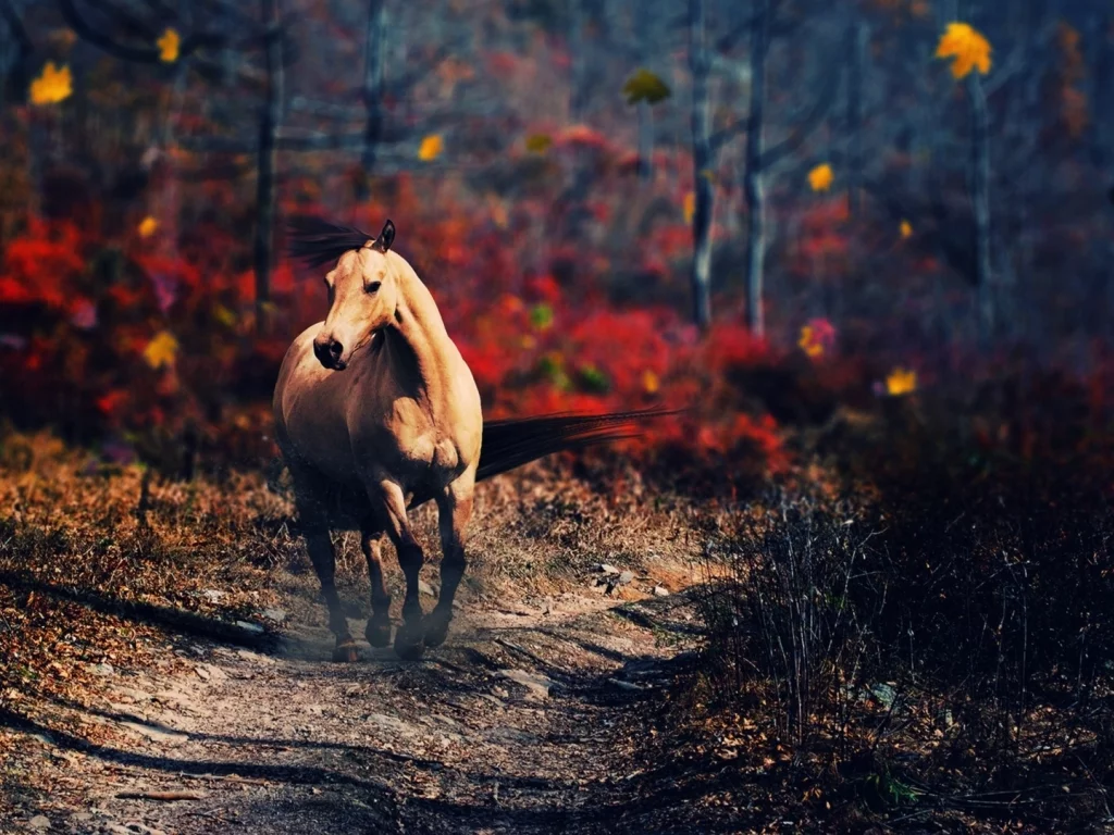 лошадь, животное, природа