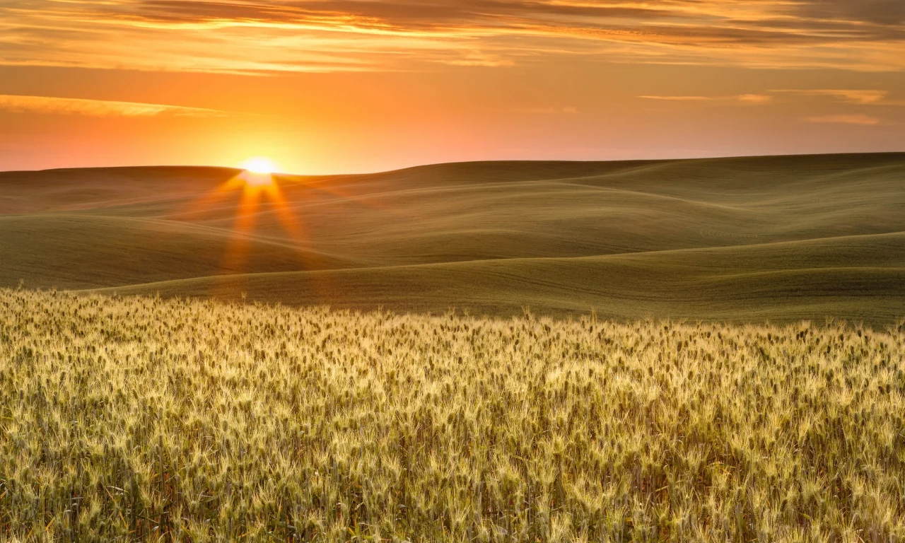 пейзаж, природа, красота