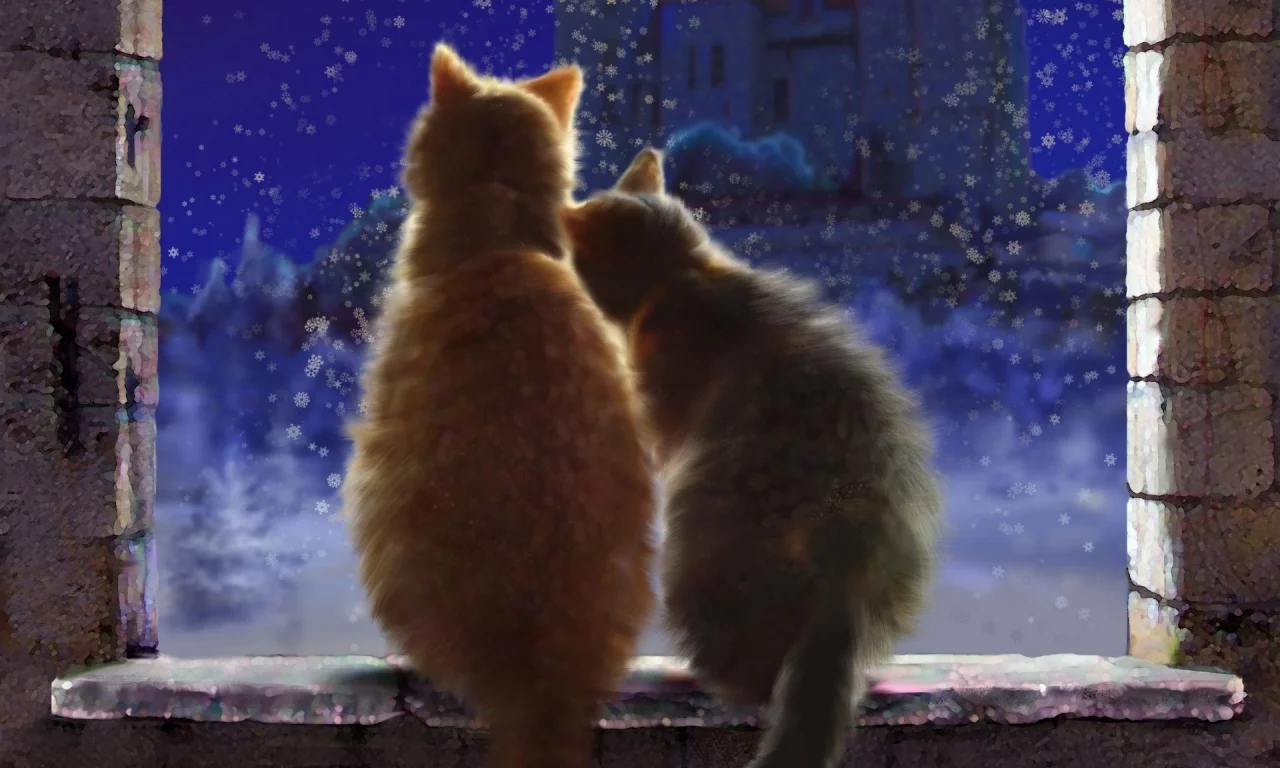 коты, животные, сидят на подоконнике