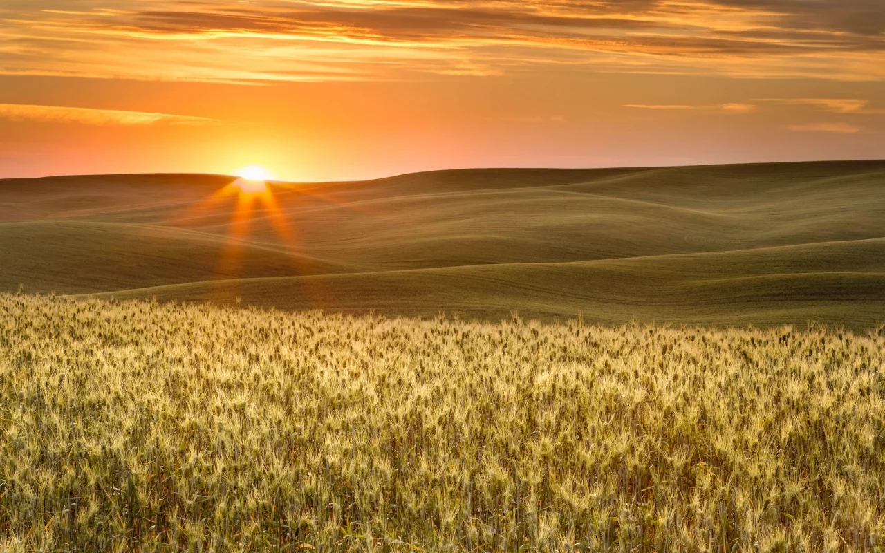 пейзаж, природа, красота
